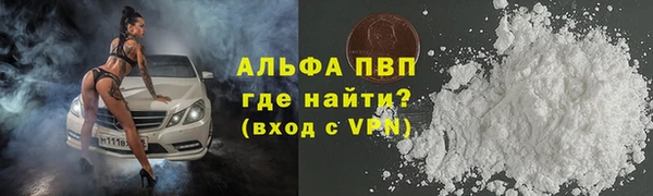 прущие грибы Санкт-Петербург