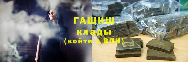 прущие грибы Санкт-Петербург