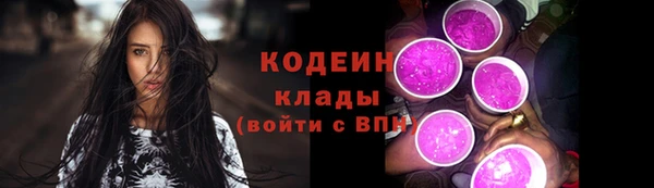 прущие грибы Санкт-Петербург