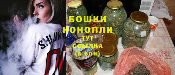 прущие грибы Санкт-Петербург