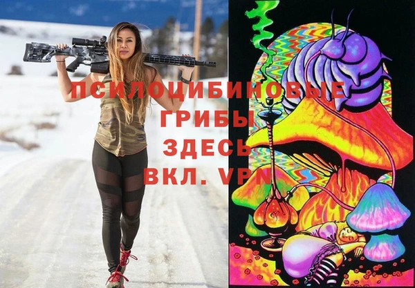 синтетический гашиш Пролетарск