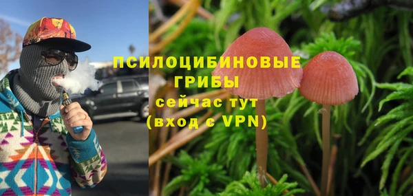 синтетический гашиш Пролетарск