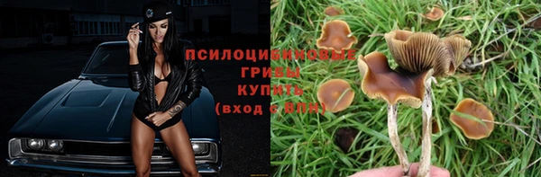 не бодяженный Протвино