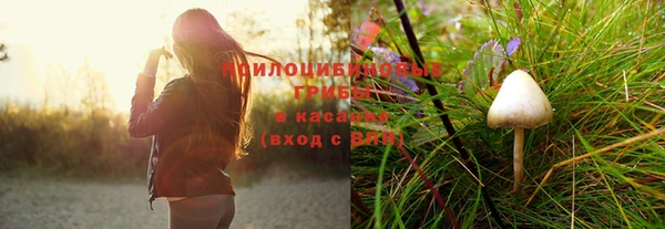 марки lsd Приозерск