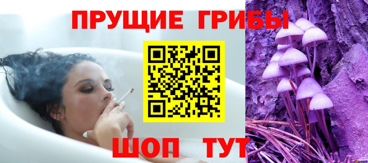 Галлюциногенные грибы Magic Shrooms  Галлюциногенные грибы Psilocybe  Вход с VPN  Великий Устюг 