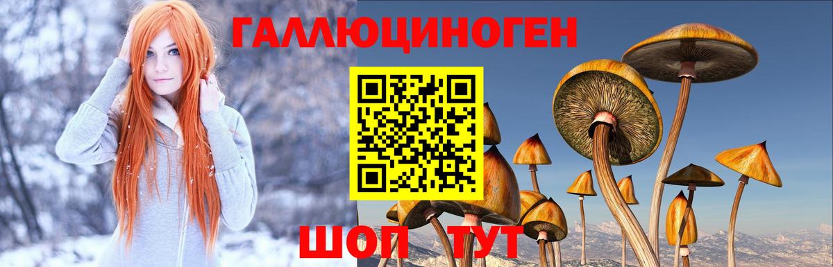 Псилоцибиновые грибы прущие грибы  Великий Устюг  Галлюциногенные грибы ЛСД 